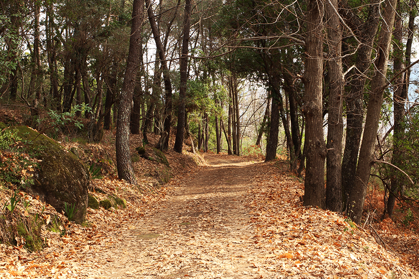CADALSO PARAISOS 16
