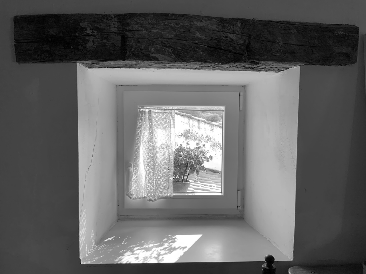DORADA VENTANA 1