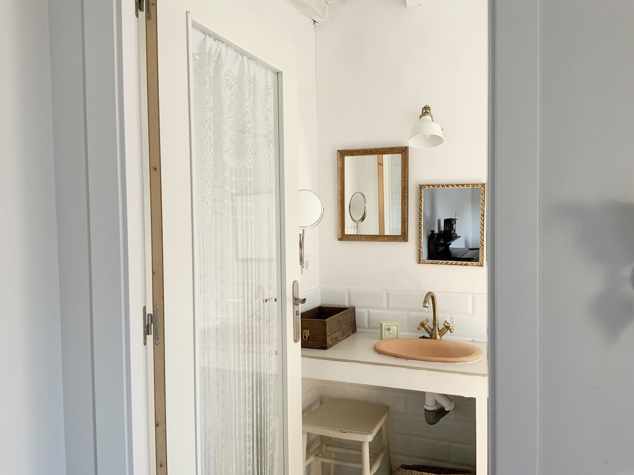 GRULLA DORADA BAÑO