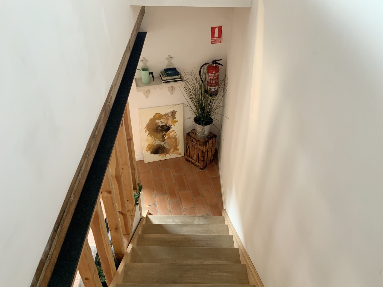 GRULLA DORADA ESCALERAS