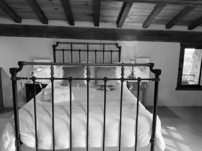 GRULLA GRIS CAMA BN