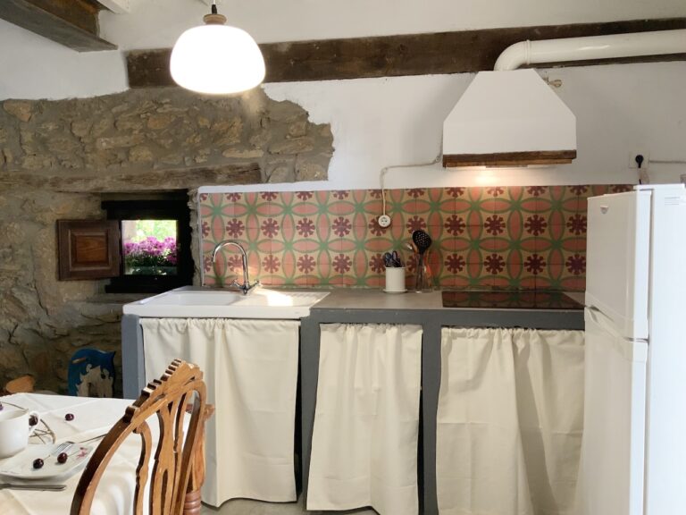 GRULLA GRIS COCINA