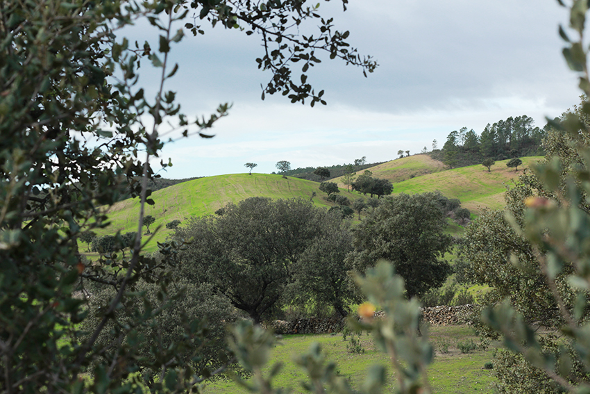 cilleros mina montañas verdes