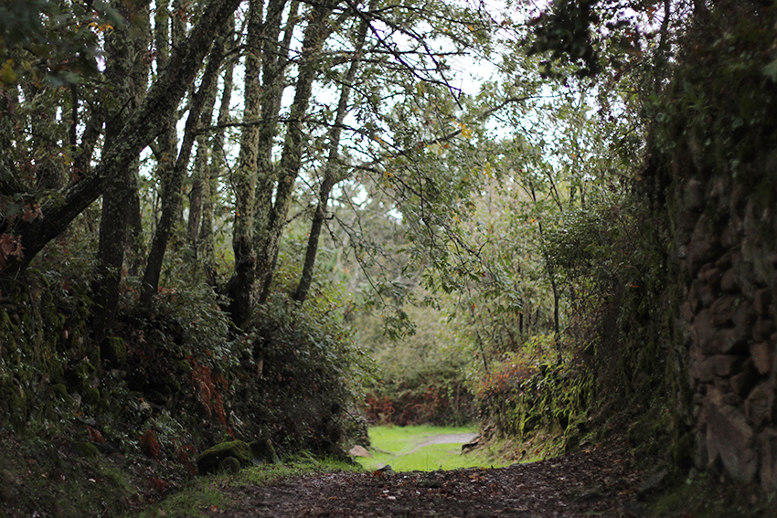 hoyos huertas camino
